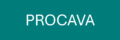 Procava logo